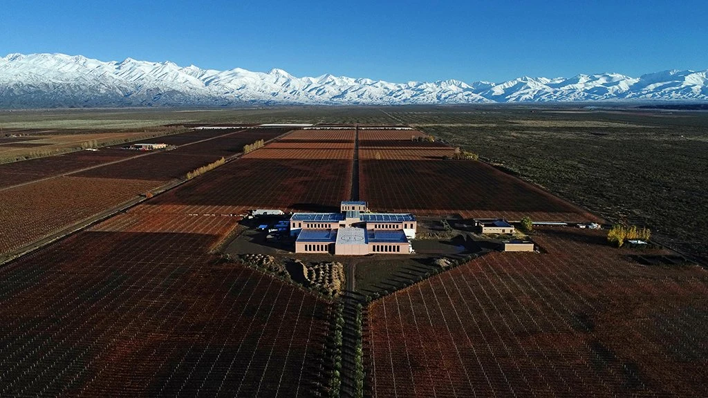 Rutini Wines (La Rural)