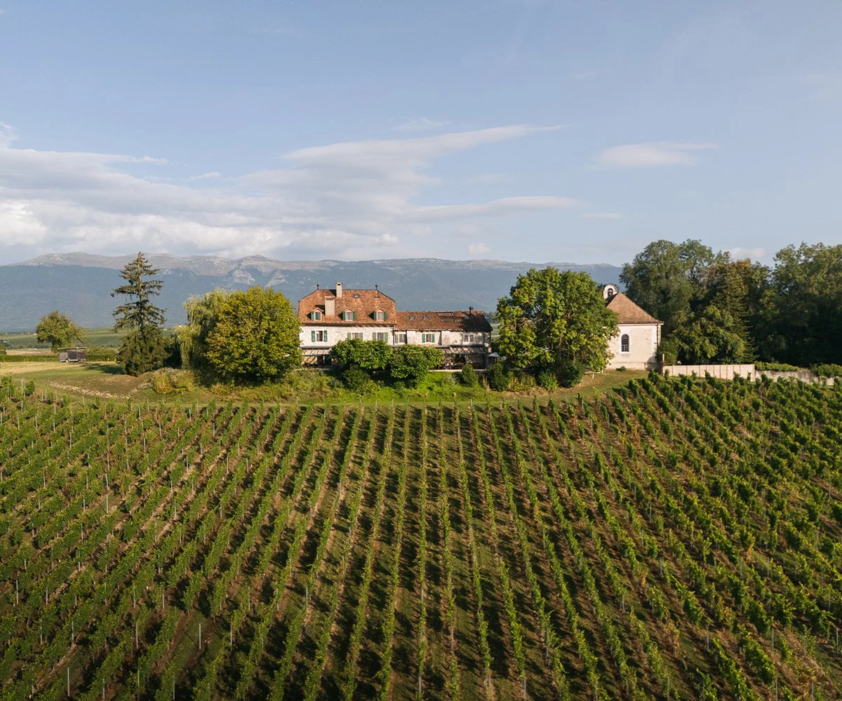 Cave des Amandiers