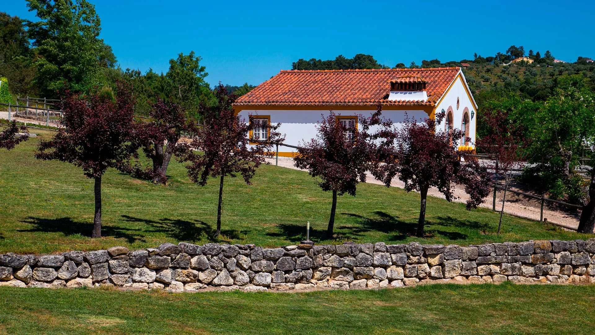 Barão de Vilar