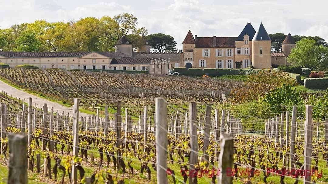 Bollinger Groupe