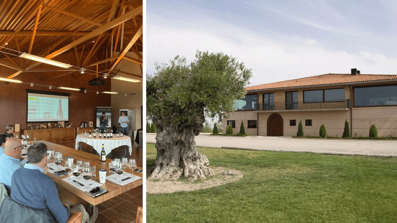 Bodegas Alto Moncayo