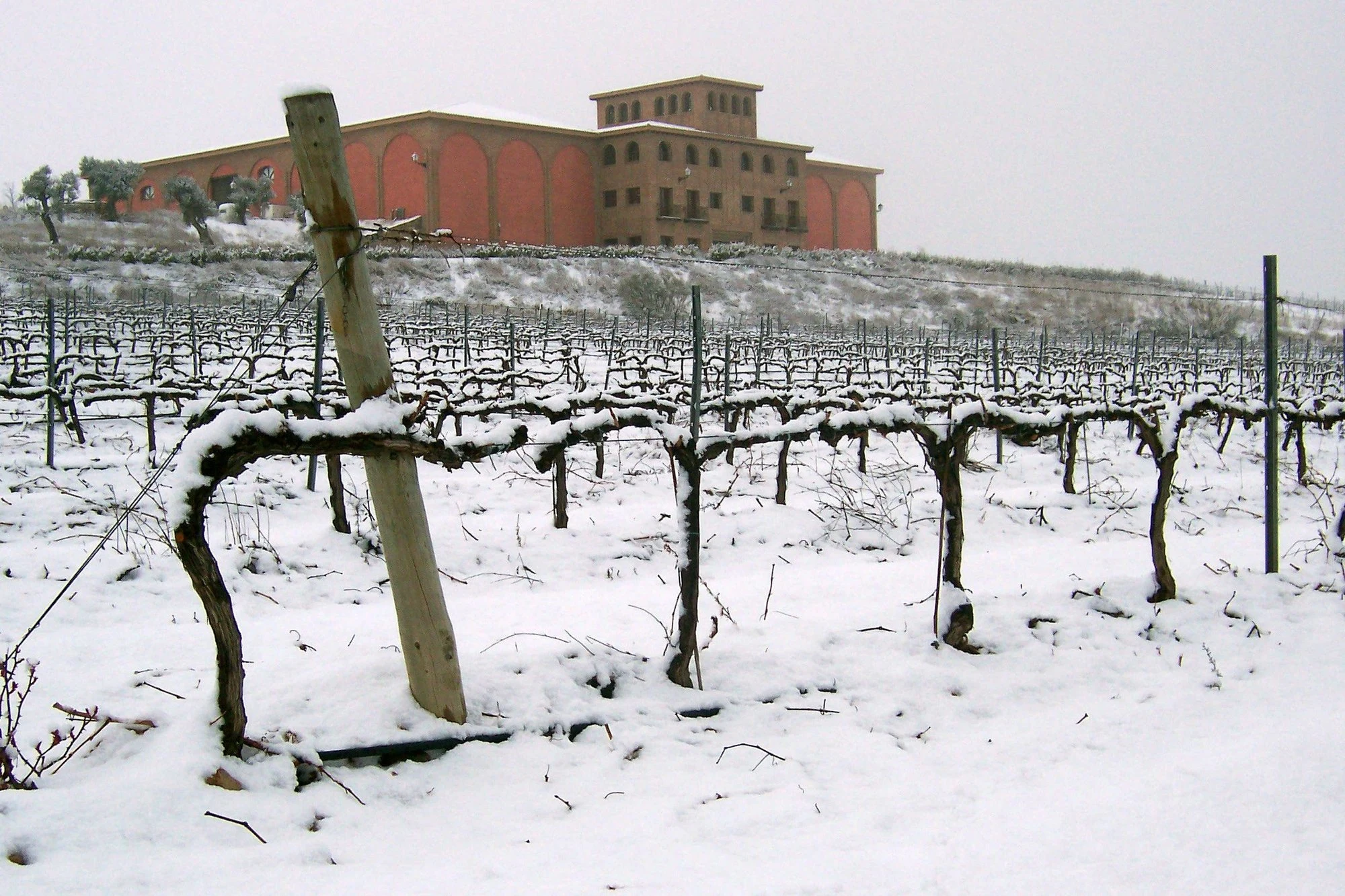 Bodega Pago Aylés