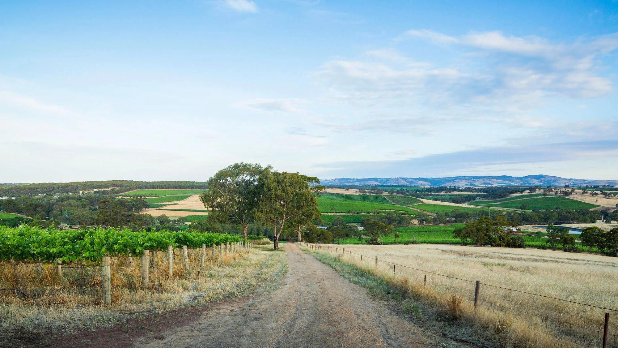 Hentley Farm Wines
