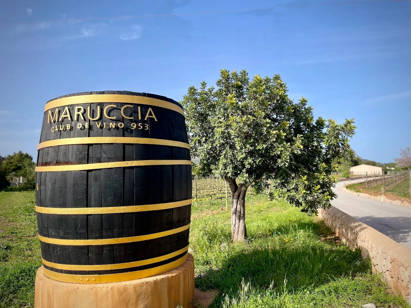 Bodega Maruccia - Club de Vino 953