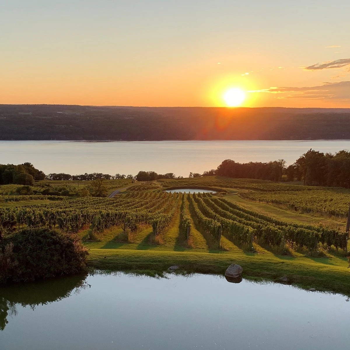 Chateau Lafayette Reneau