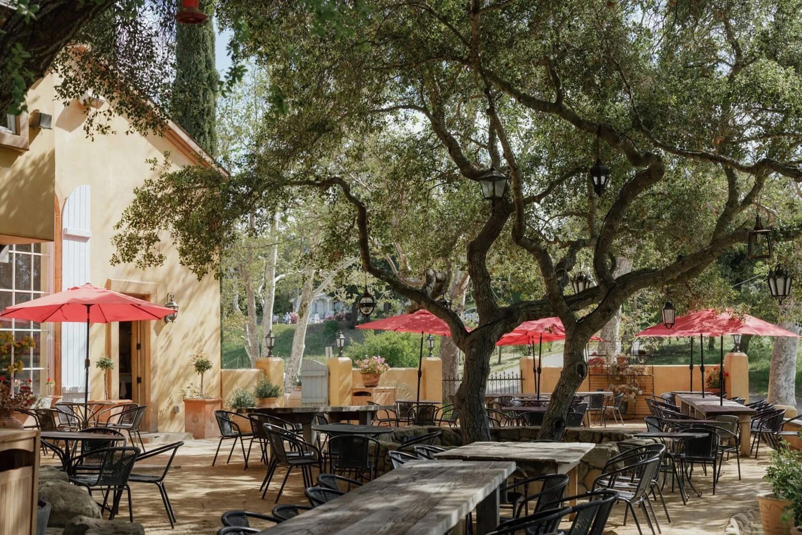 Standing Sun Wines
