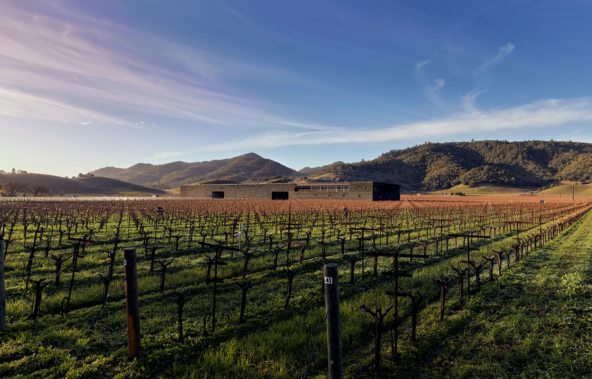 Dominus Estate