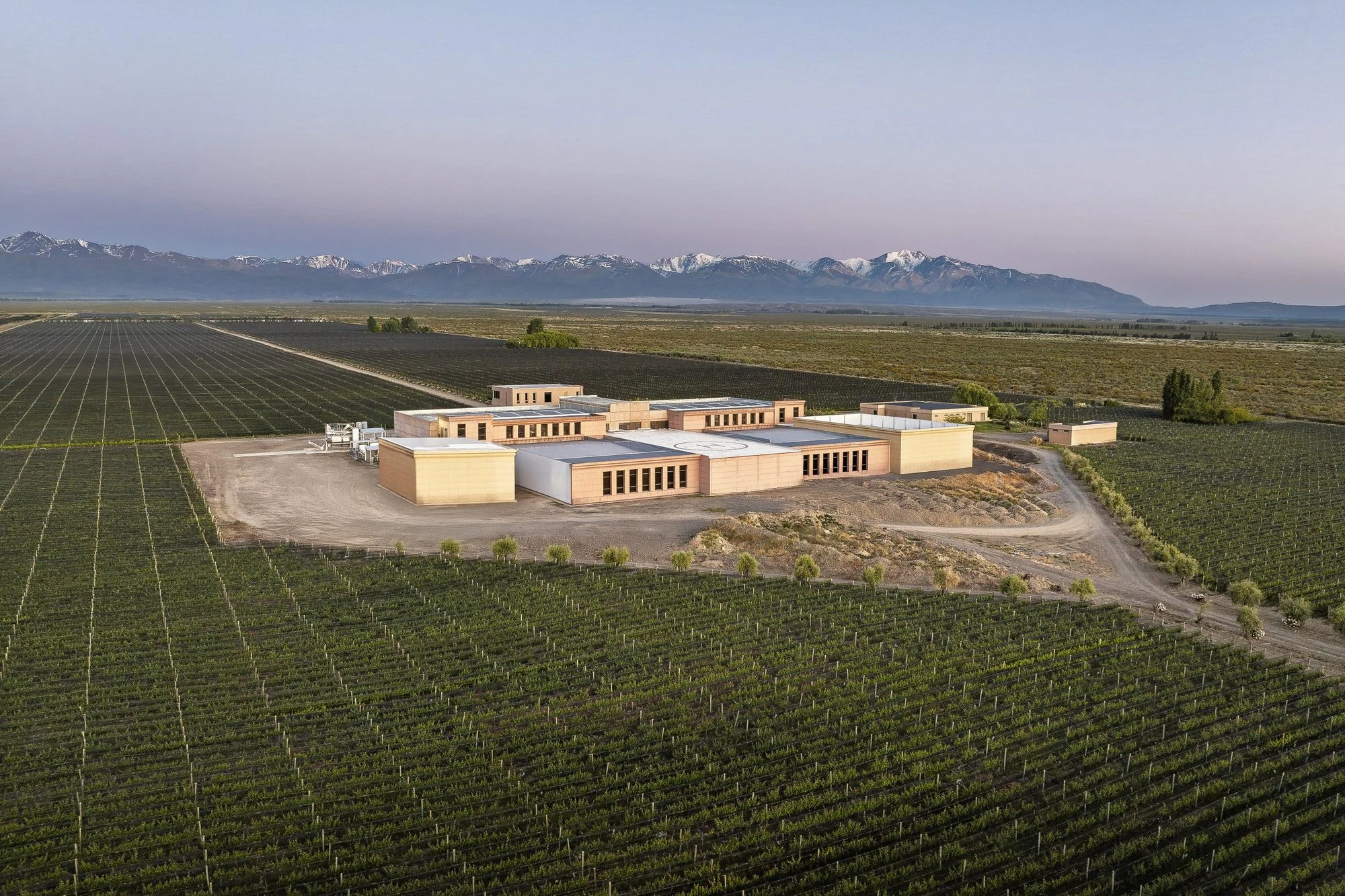 Cape Wine Makers Guild
