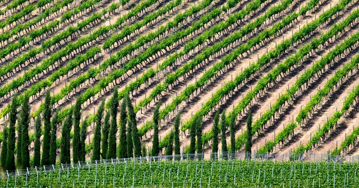 Boutari Wineries Naoussa