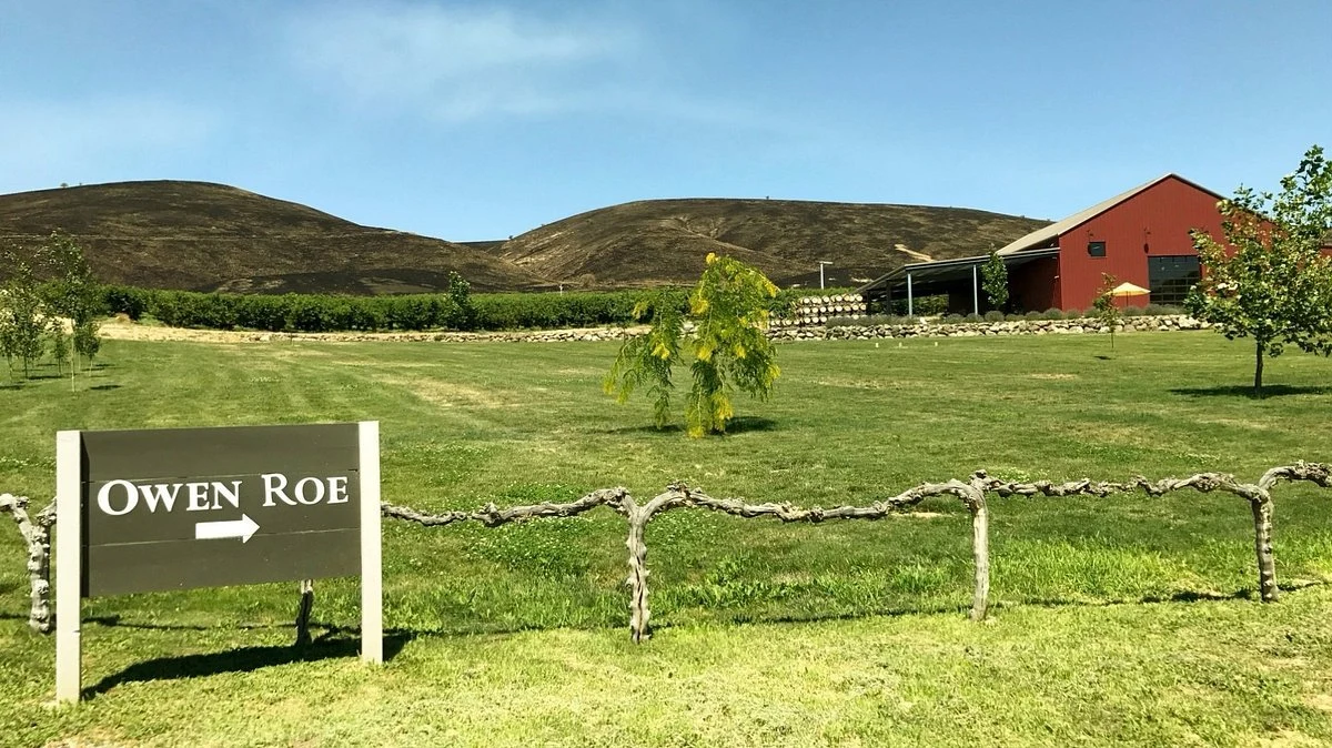 Owen Roe Winery
