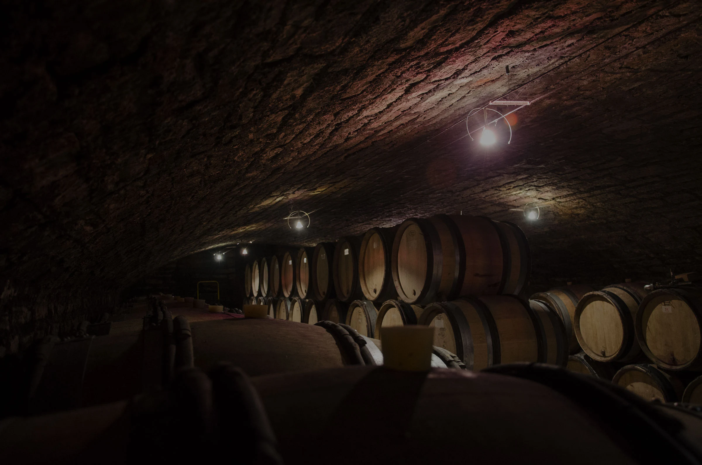 Domaine Hubert Lignier