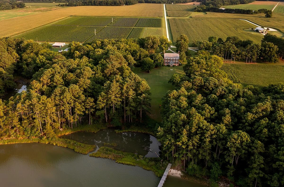 Chatham Vineyards on Church Creek