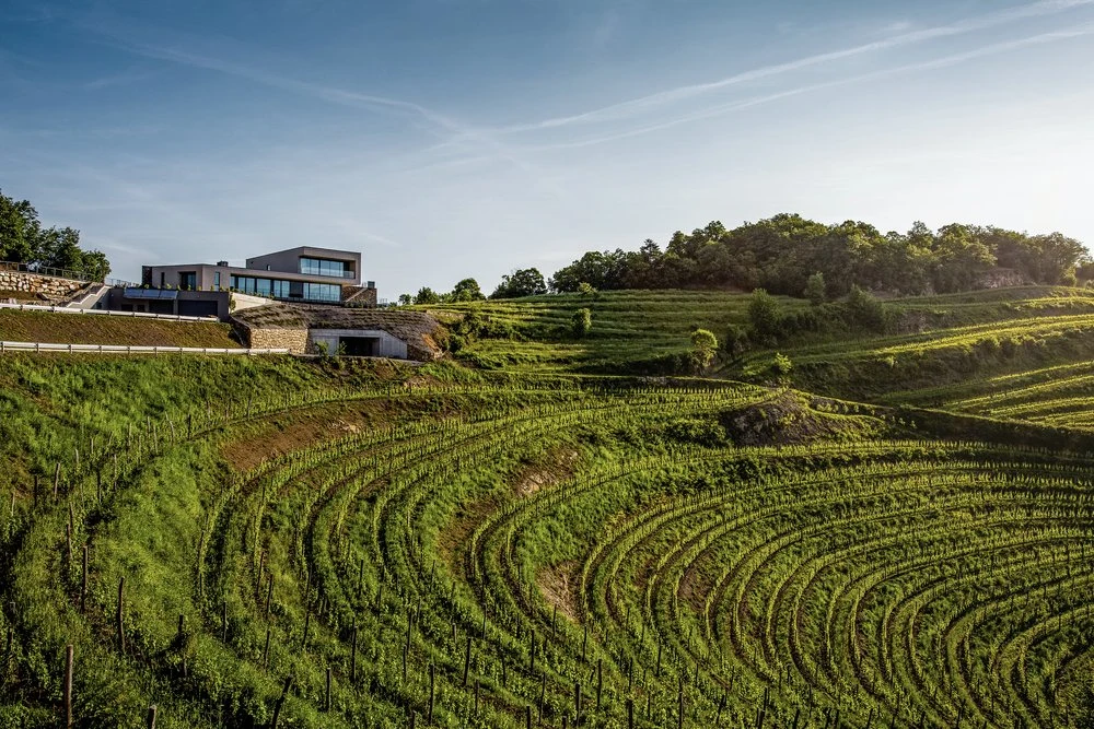 Guerila Wines