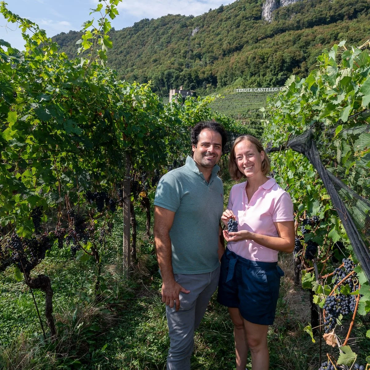 Castello di Cantone SA