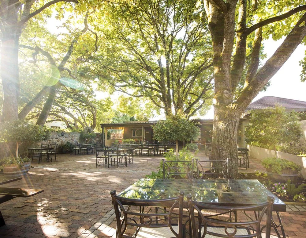 Villiera Wines