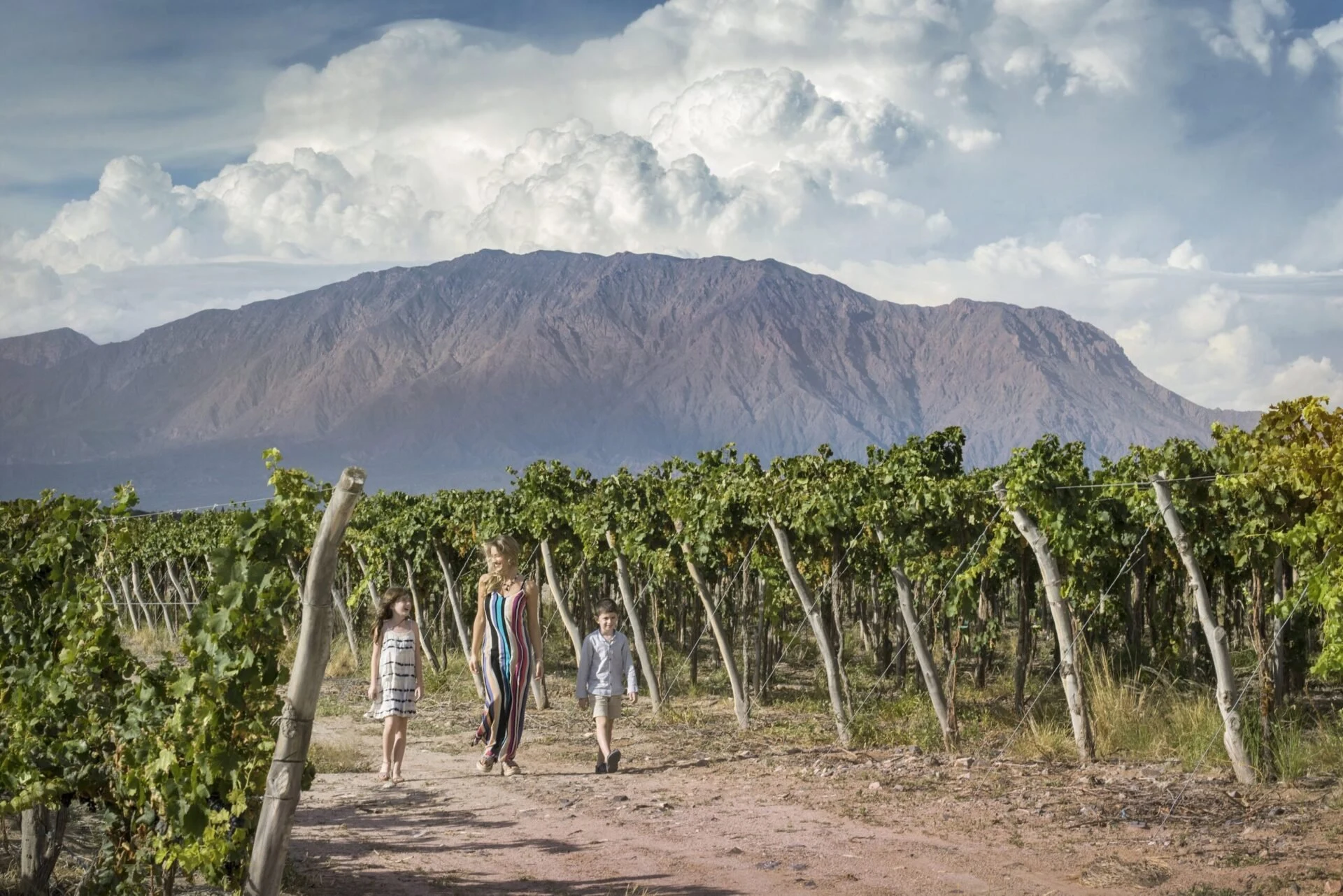 Bodega El Tránsito