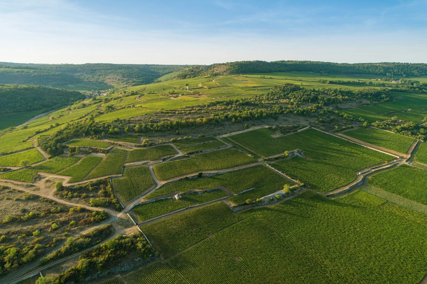 Domaine Philippe Colin