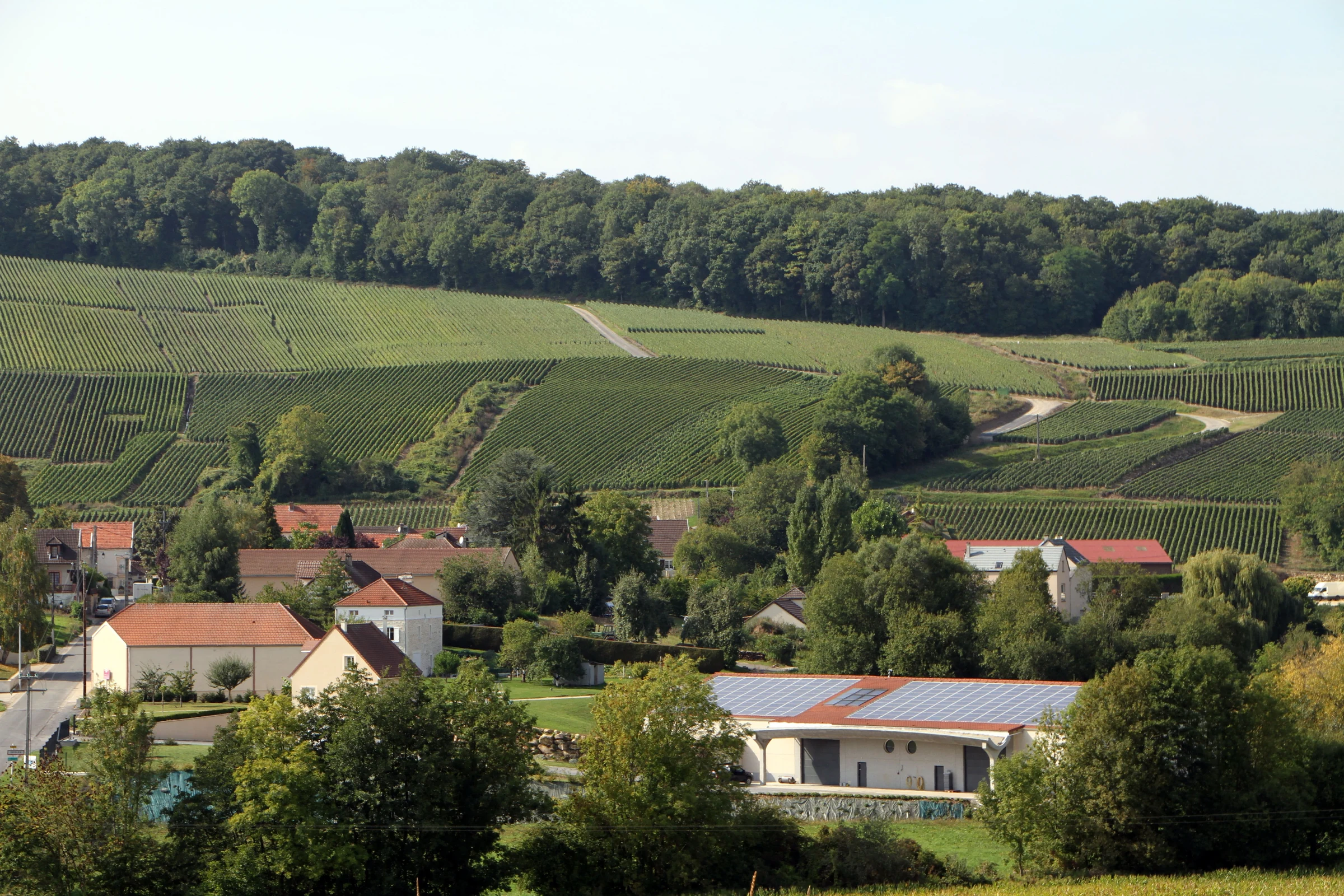 Famille Moussé