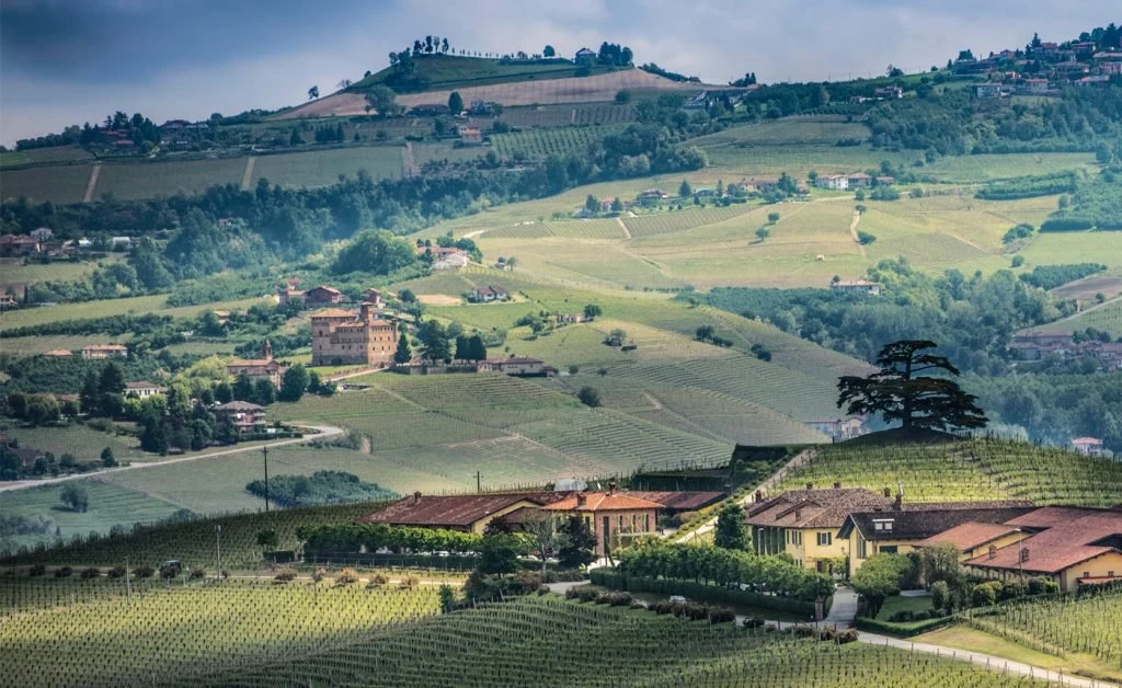 Cordero di Montezemolo