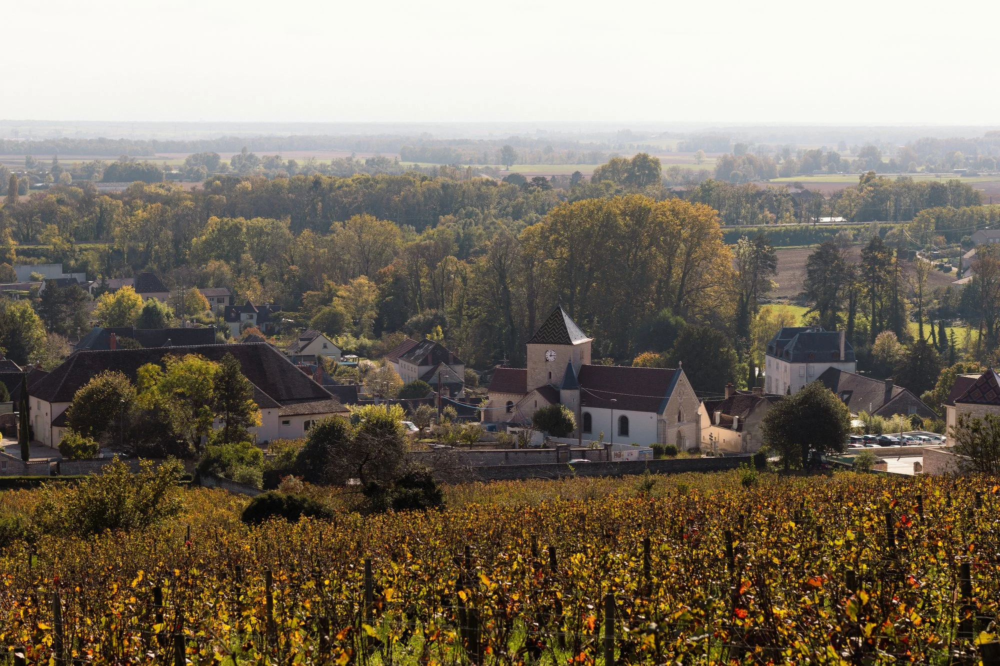 Maison Ambroise