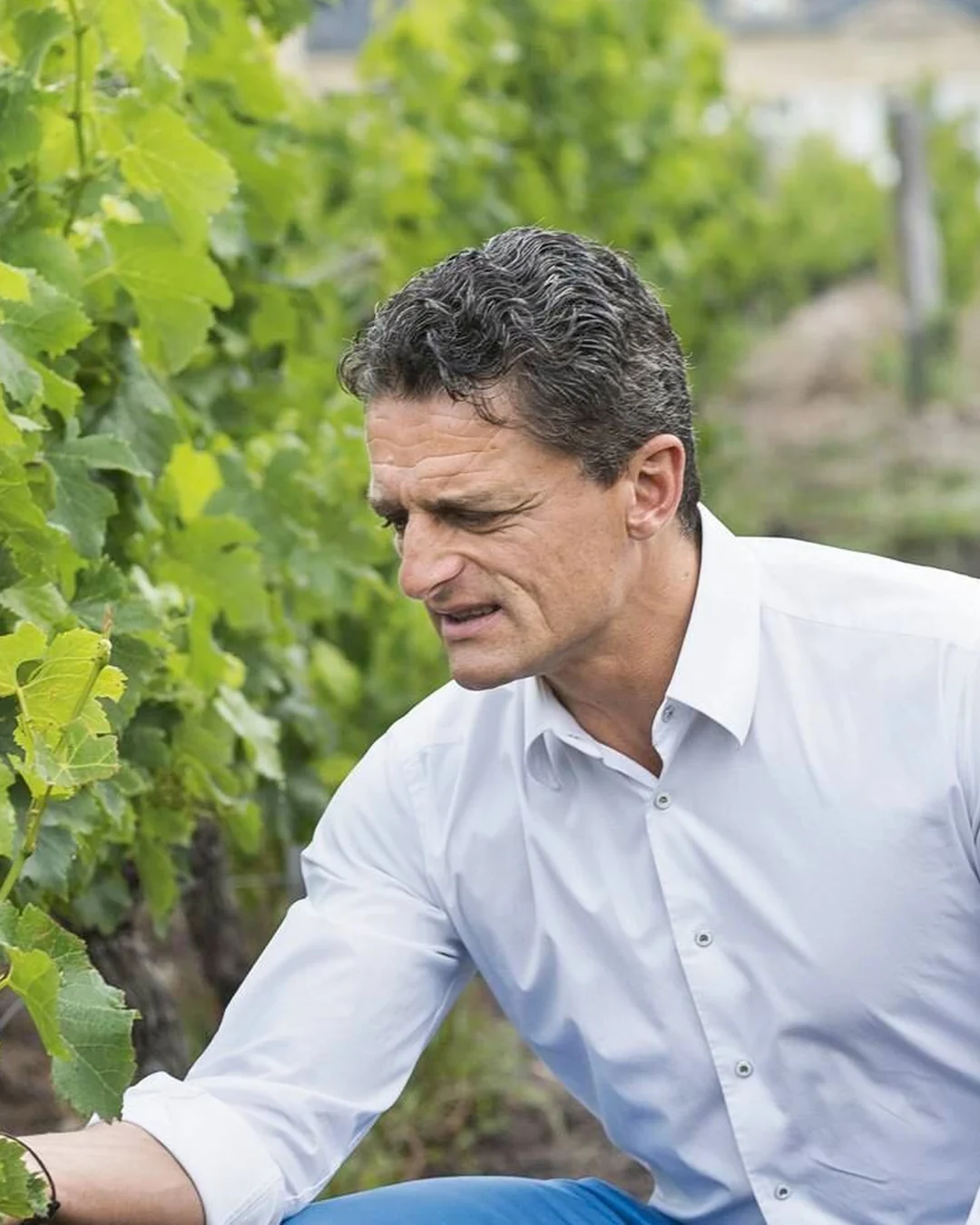 Laurent Cisneros