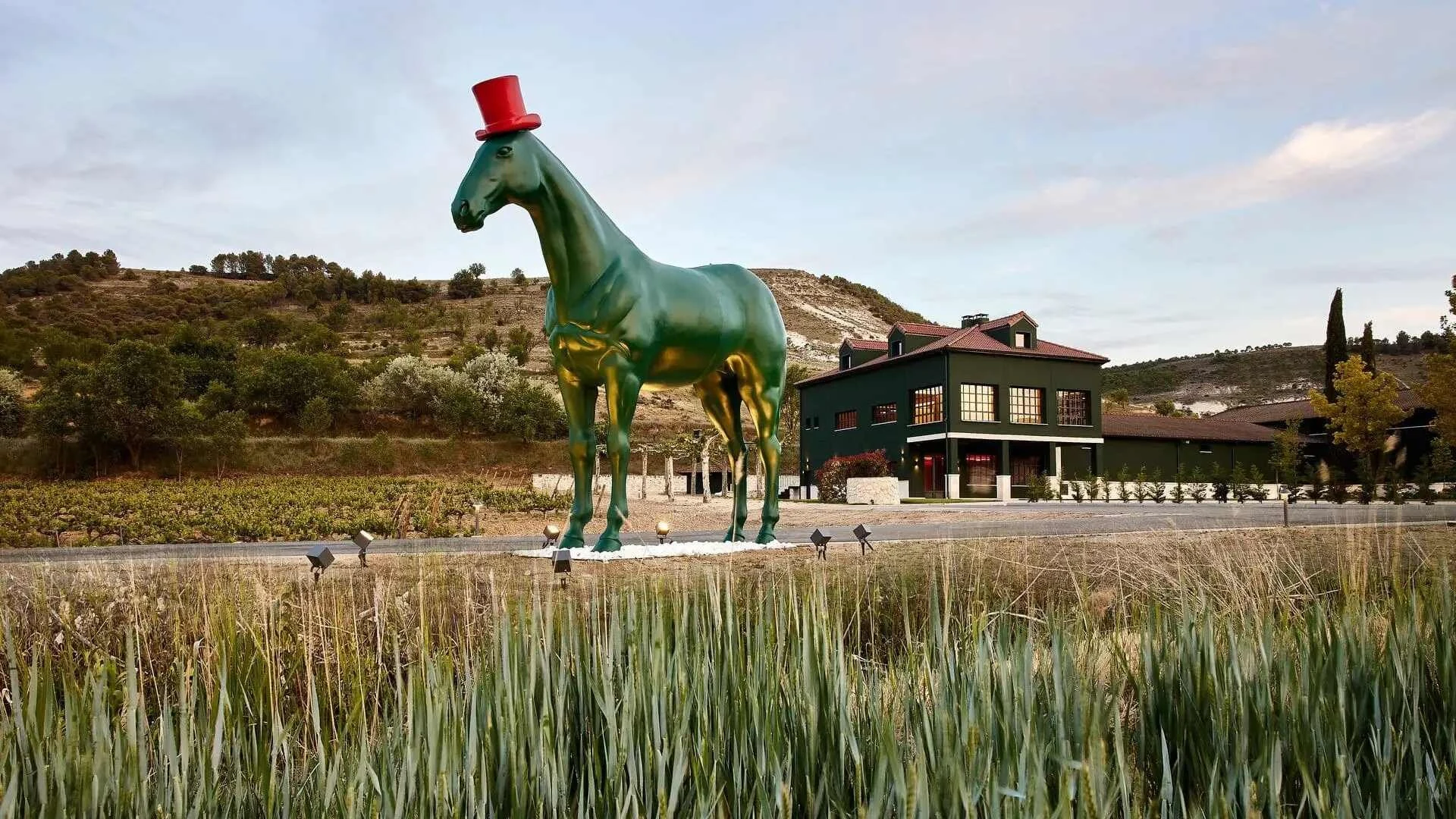 Bodegas Virtus