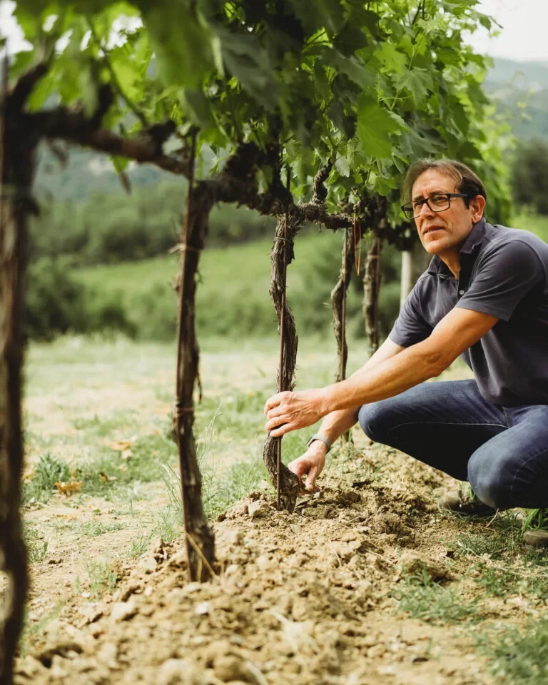 Donato Alvino