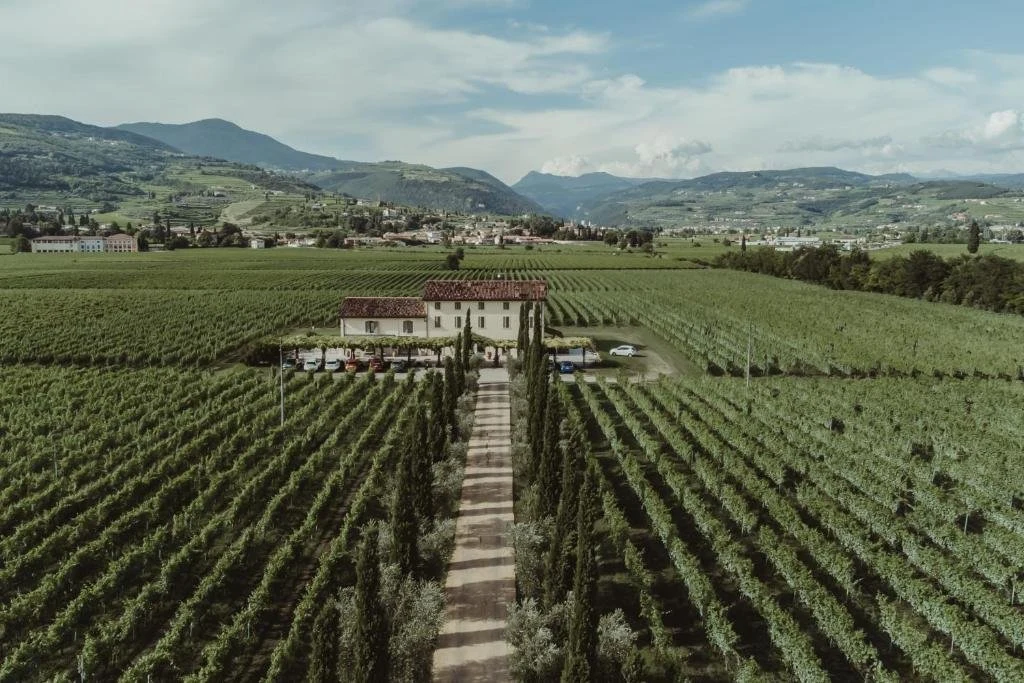 Azienda Agricola Viviani