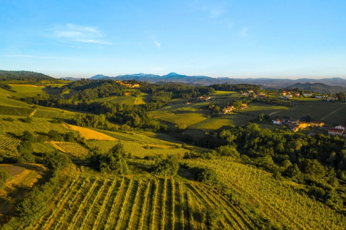 Cascina degli Ulivi