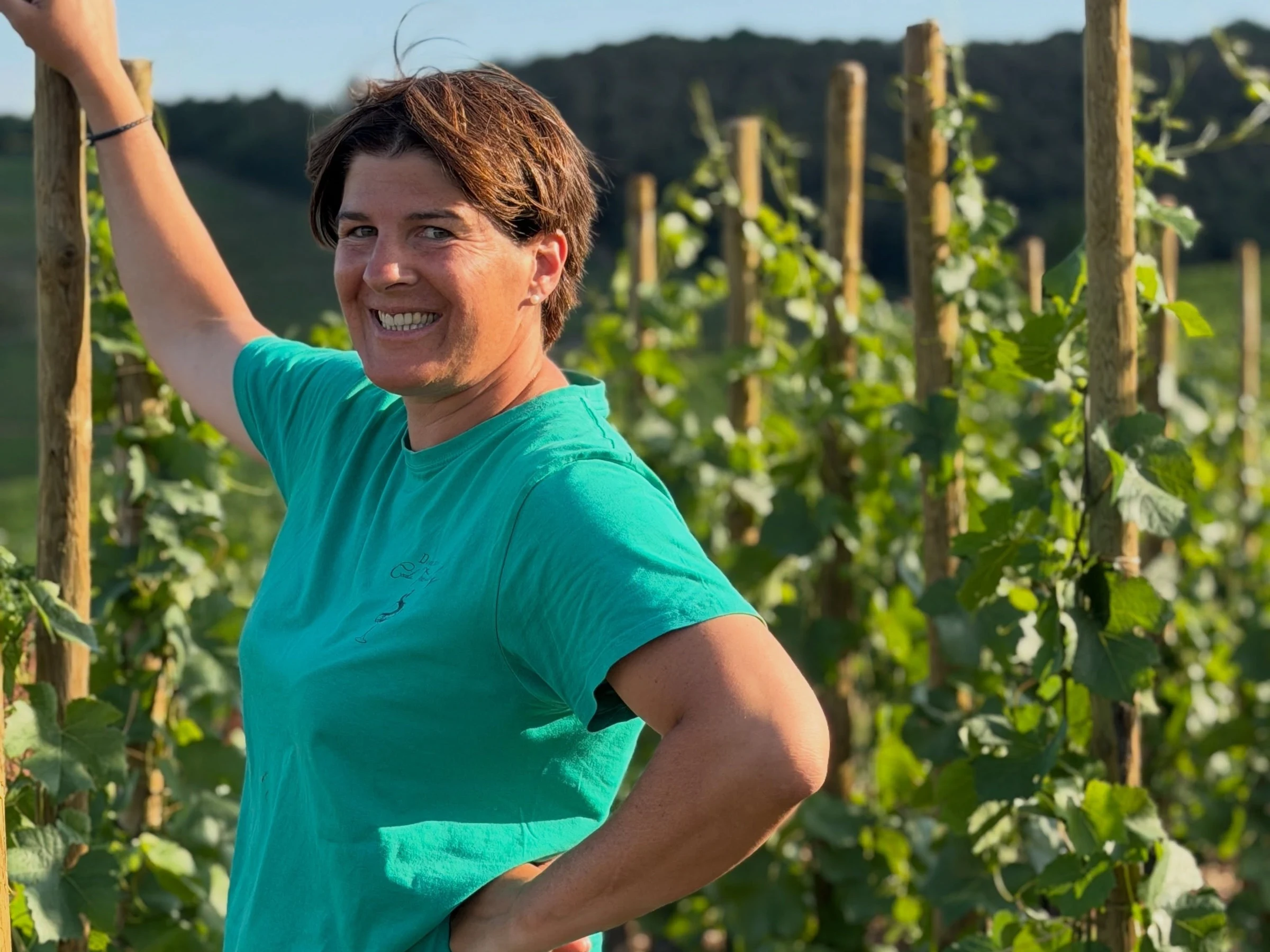 A smiling man in a turquoise shirt stands in a vineyard with wooden stakes supporting grapevines, with forested hills visible in the background.