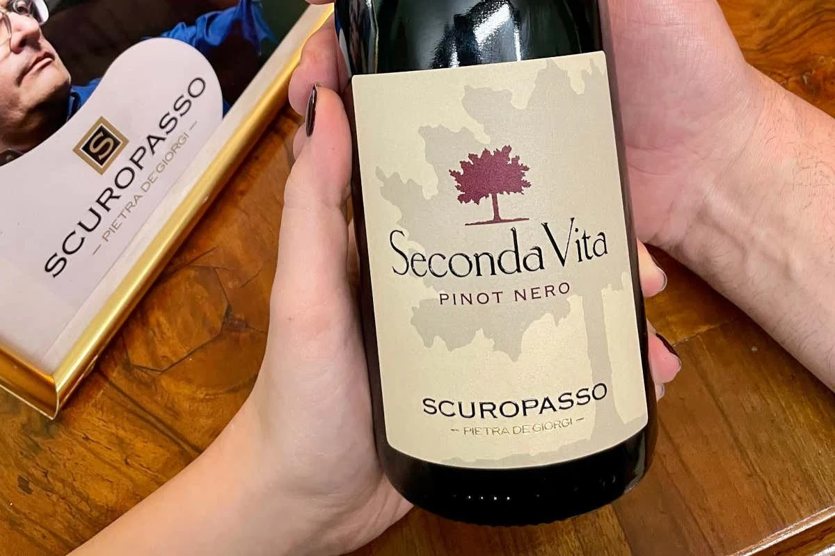 Cantina Scuropasso