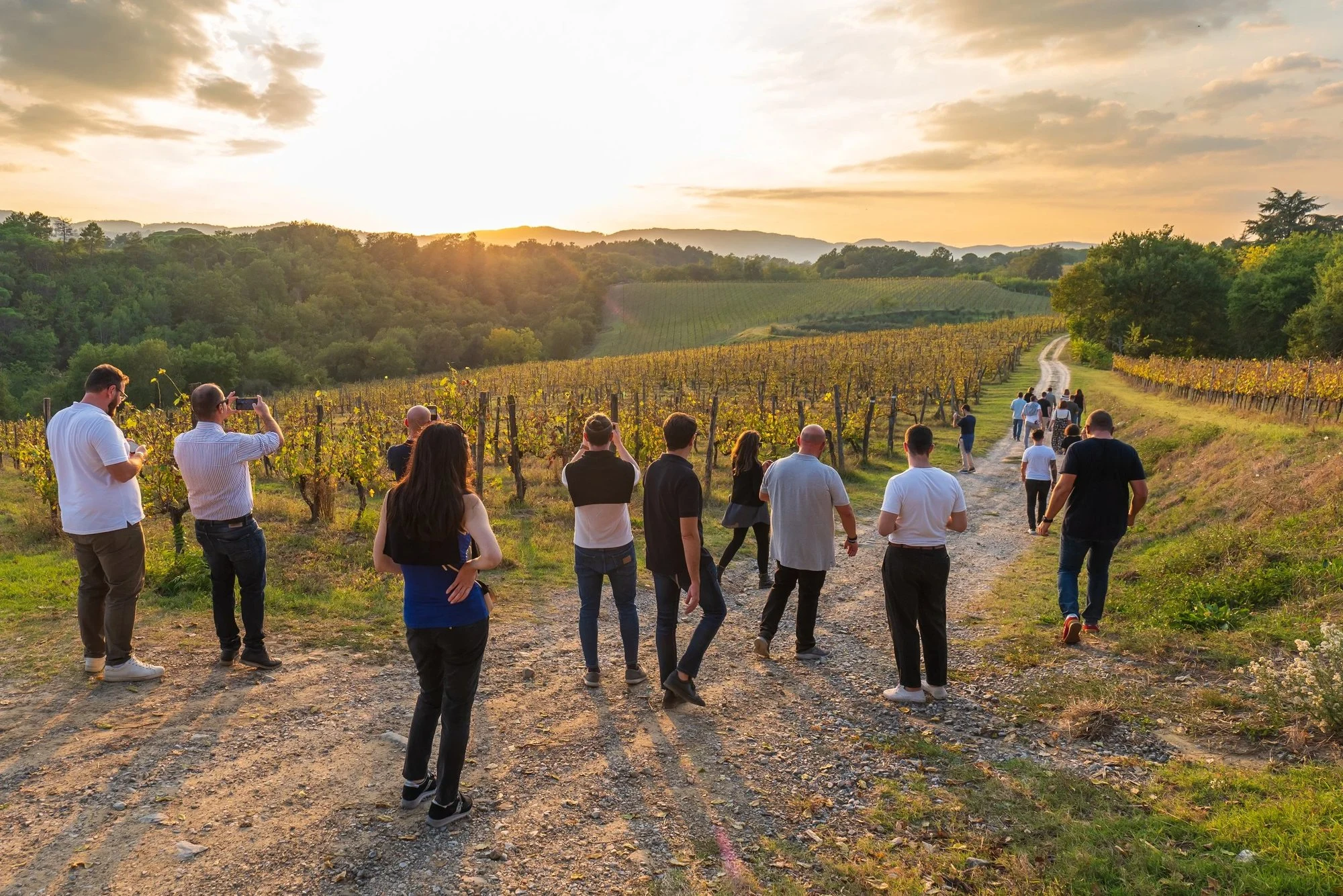 Tenuta Scrafana