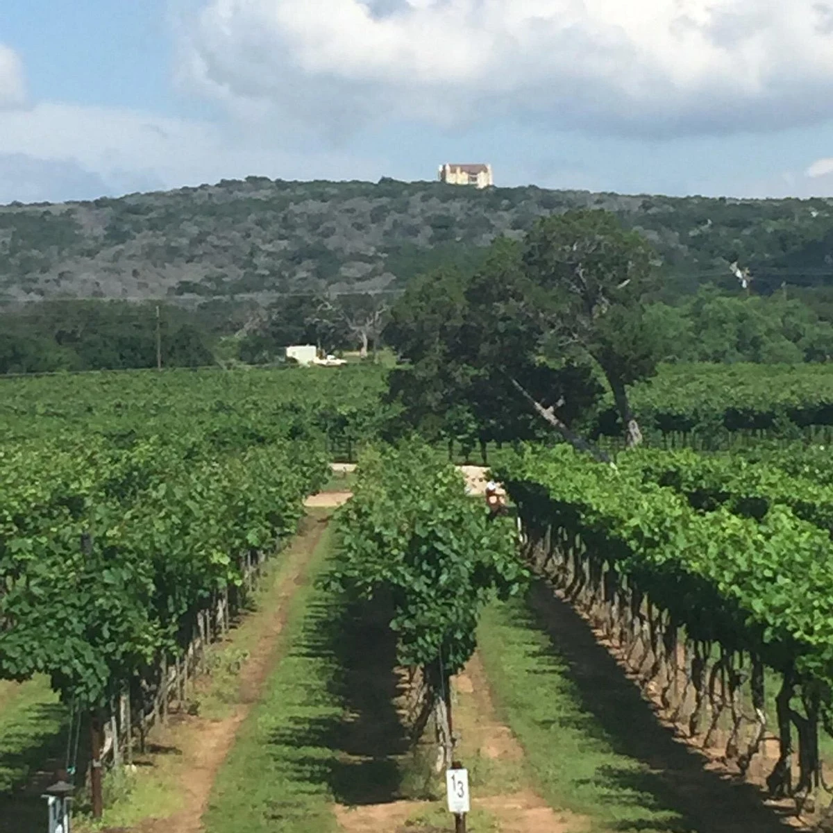 Perissos Vineyard and Winery