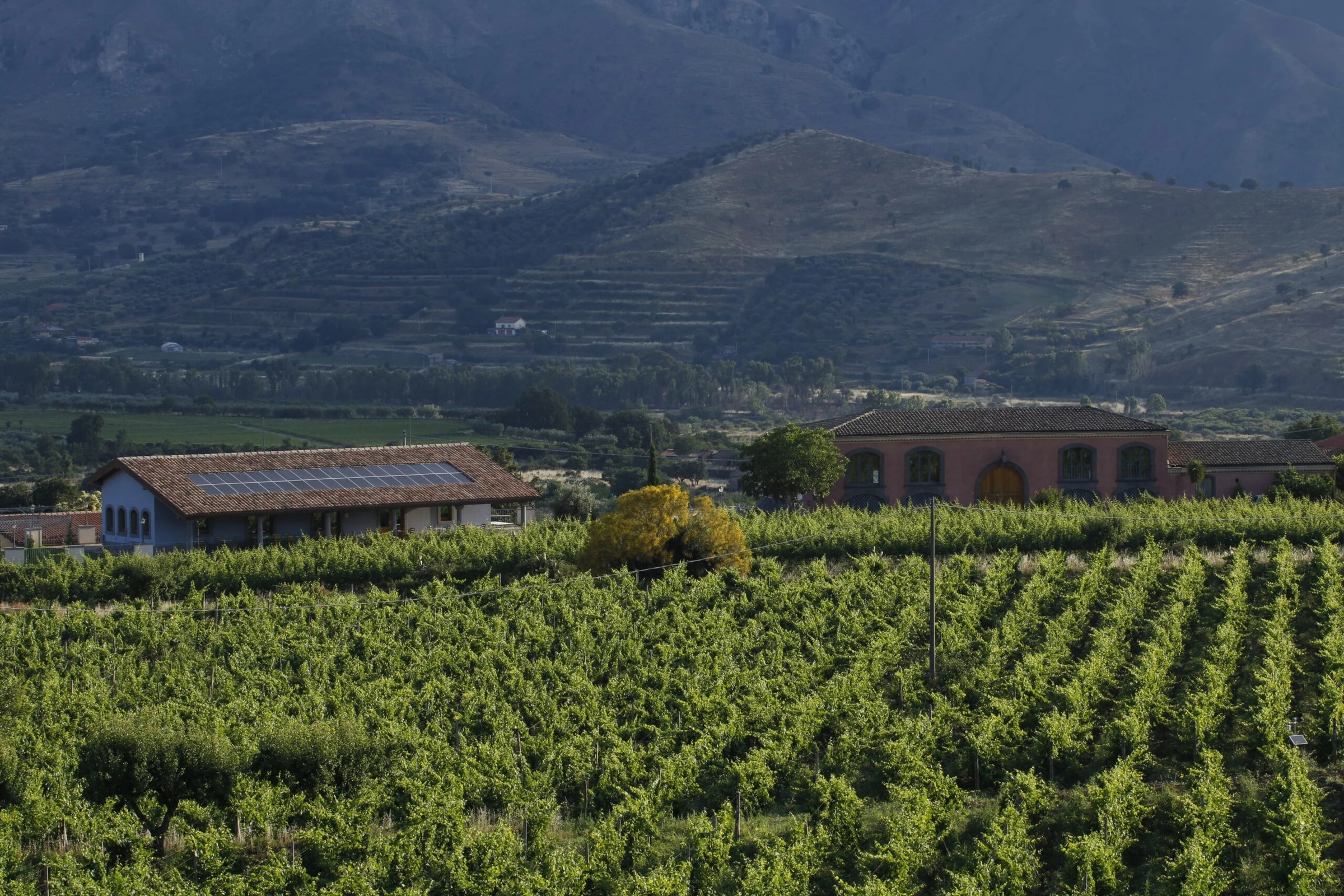 Tenuta delle Terre Nere