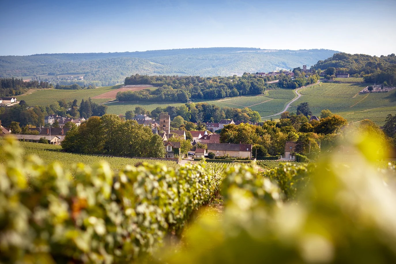 Domaine de la Bressande