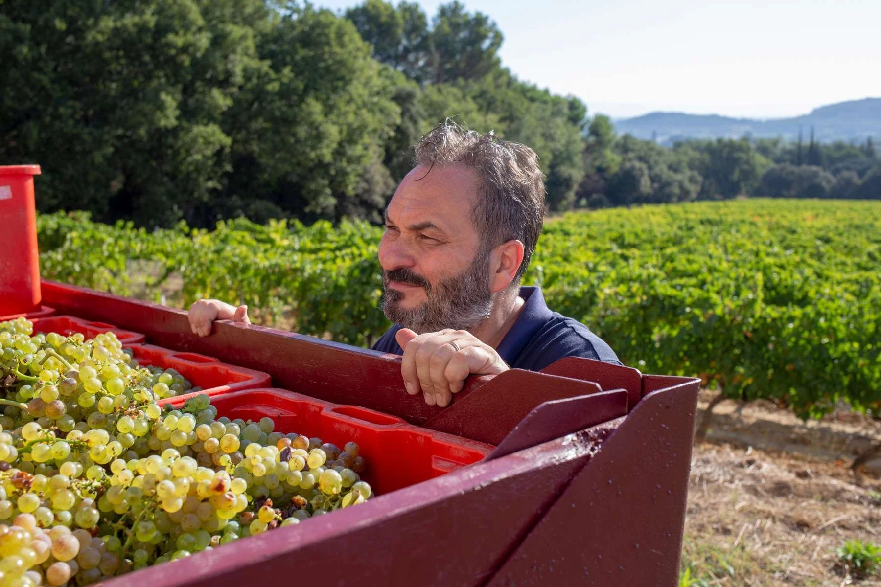 Domaine des Maravilhas