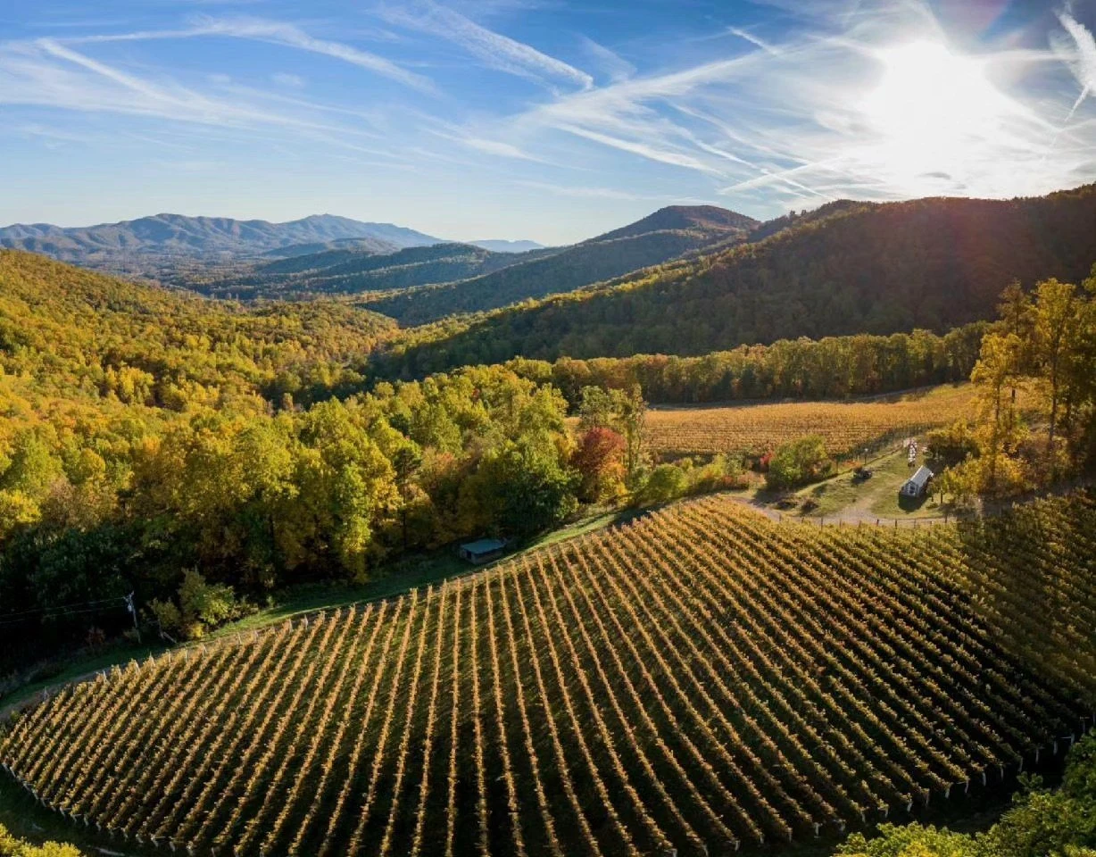 Ankida Ridge Vineyards