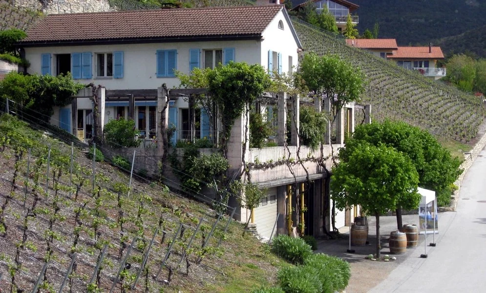 Cave de la Pierre