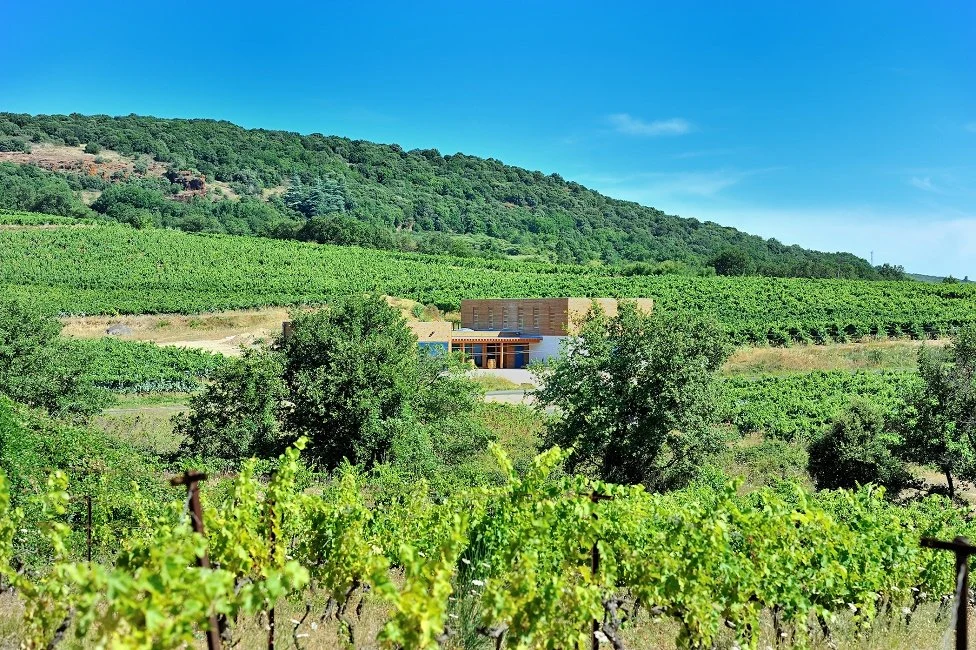 Domaine Allegria