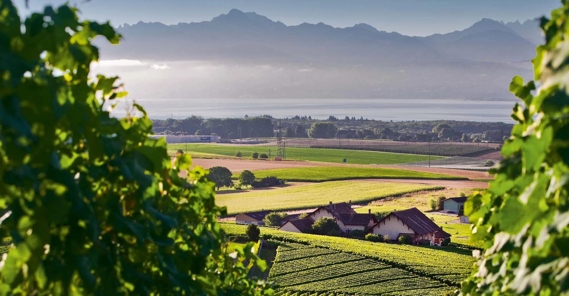Domaine du Martheray