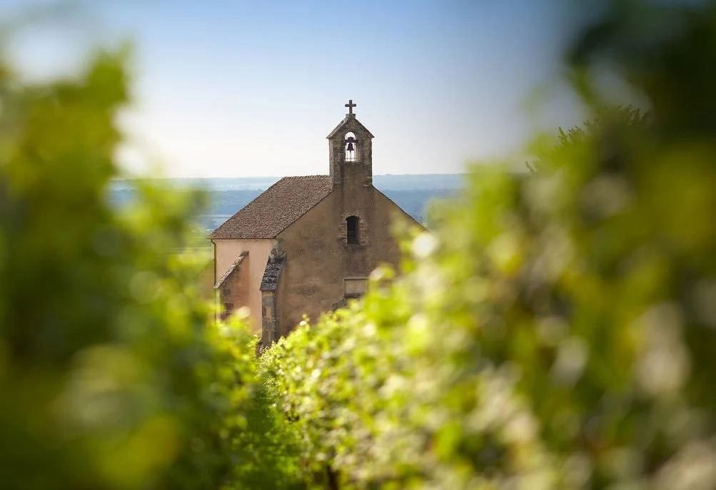 Domaine Clos de la Chapelle