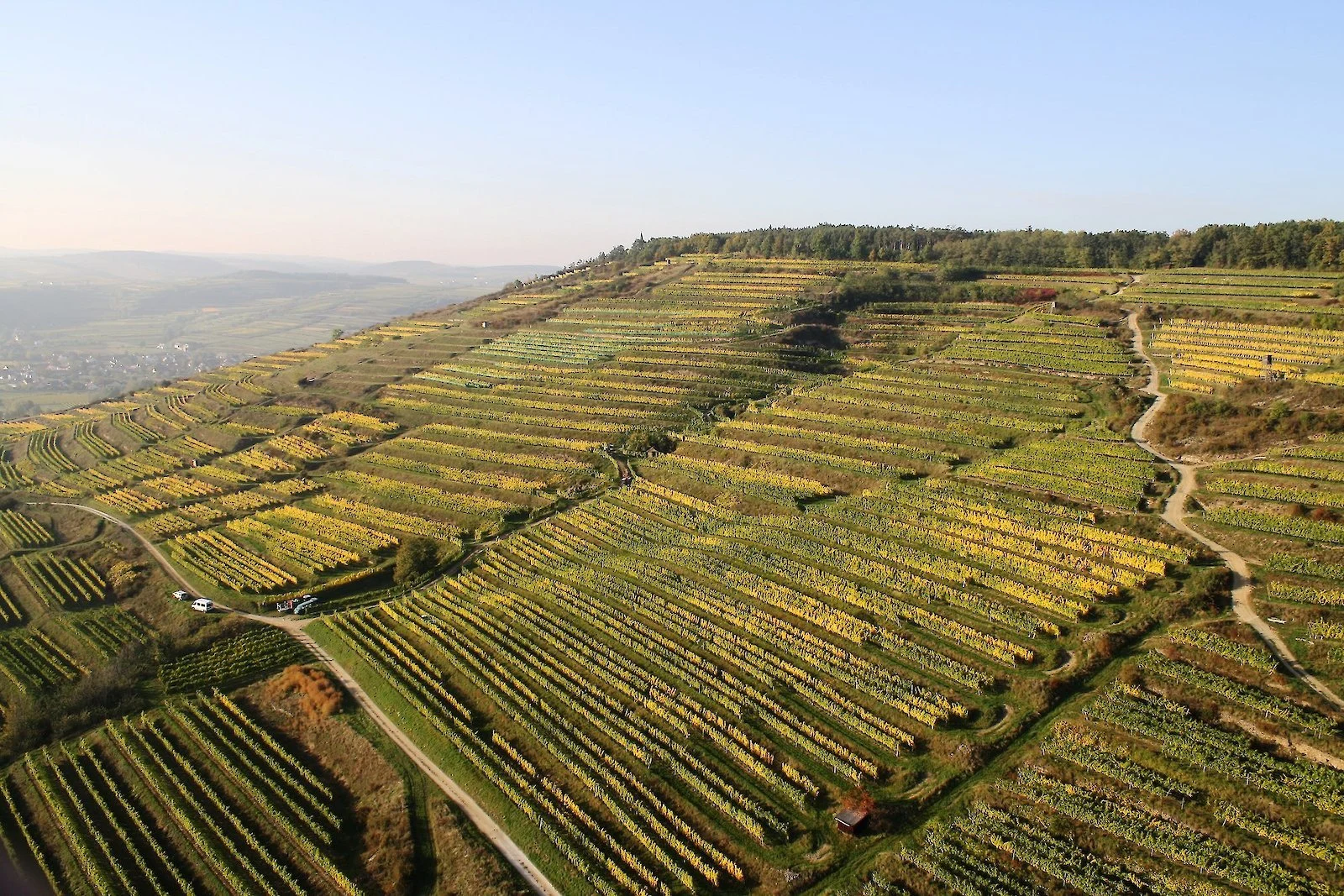 Weingut Bründlmayer