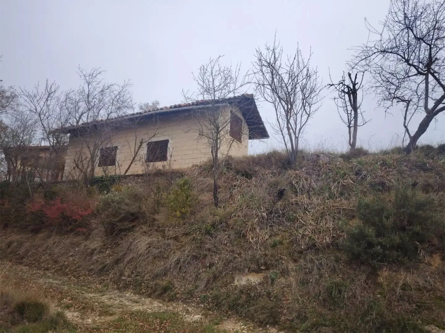 Bodegas Dominio Berzal