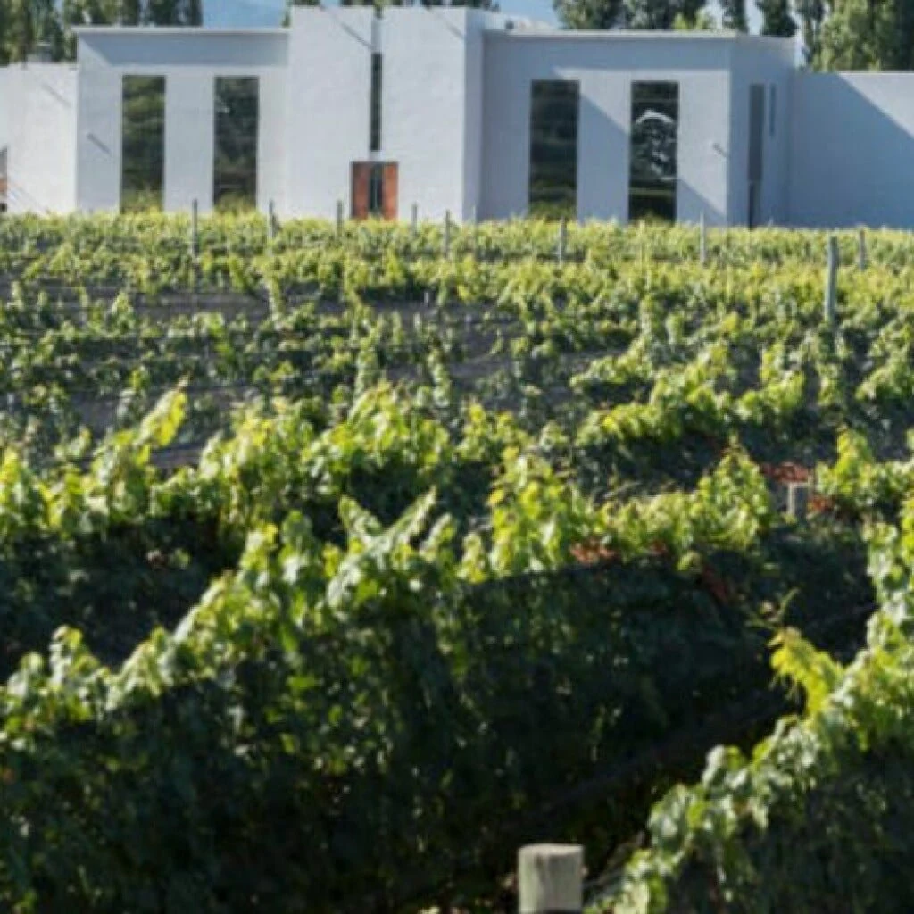 Bodega Foster Lorca