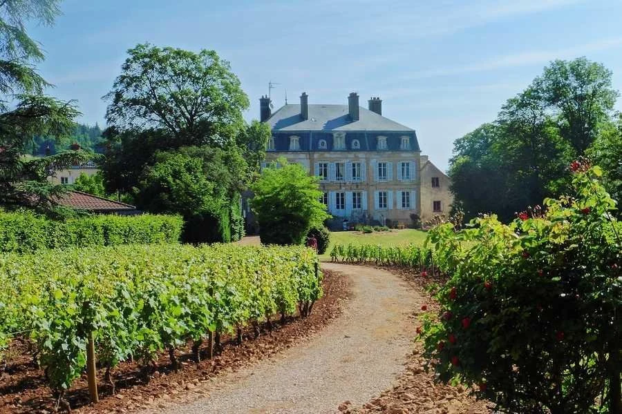 Domaine de Suremain
