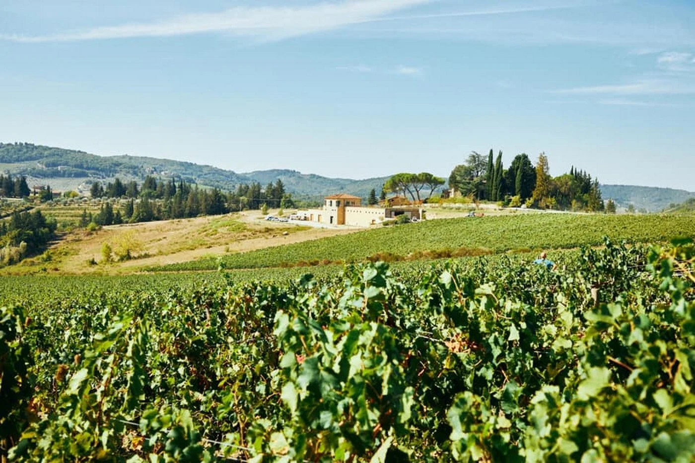 Tenuta La Massa