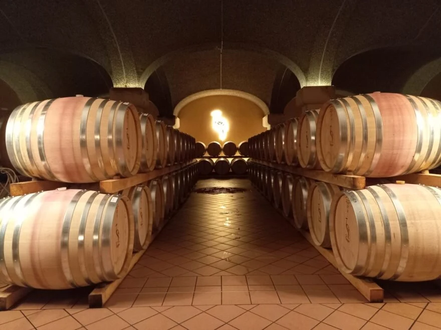 Cavazza