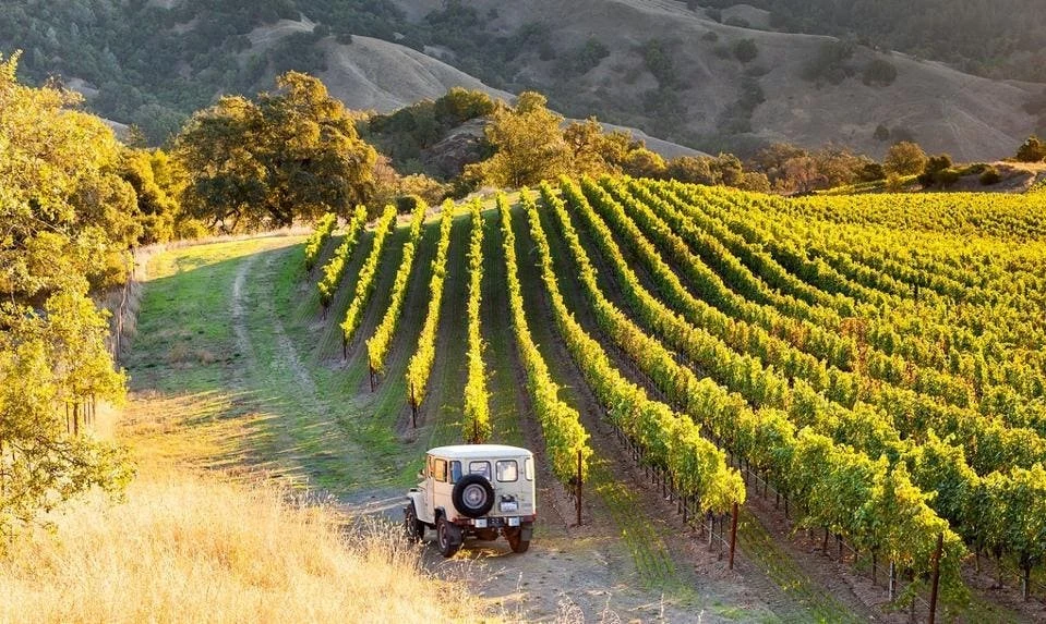 Alexander Valley Vineyards