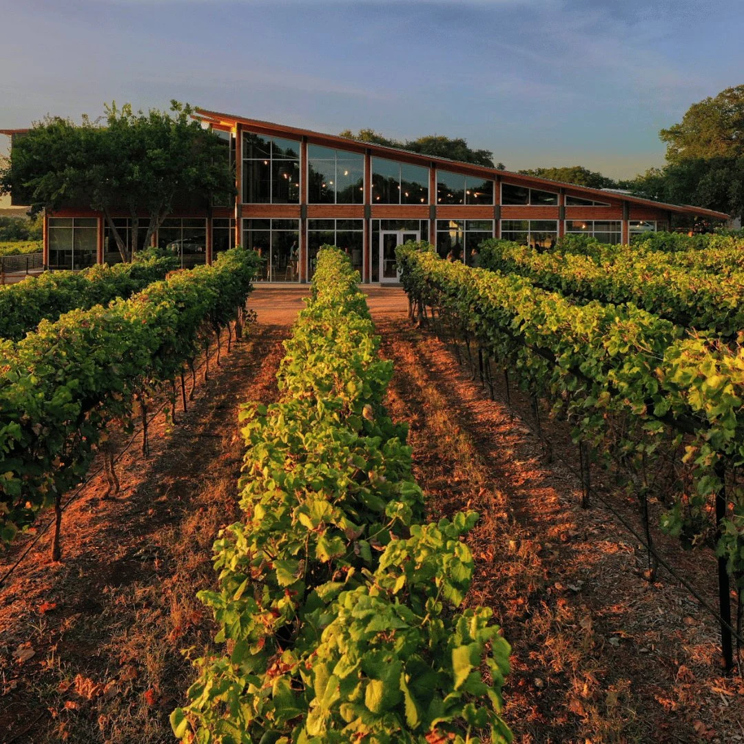 William Chris Vineyards