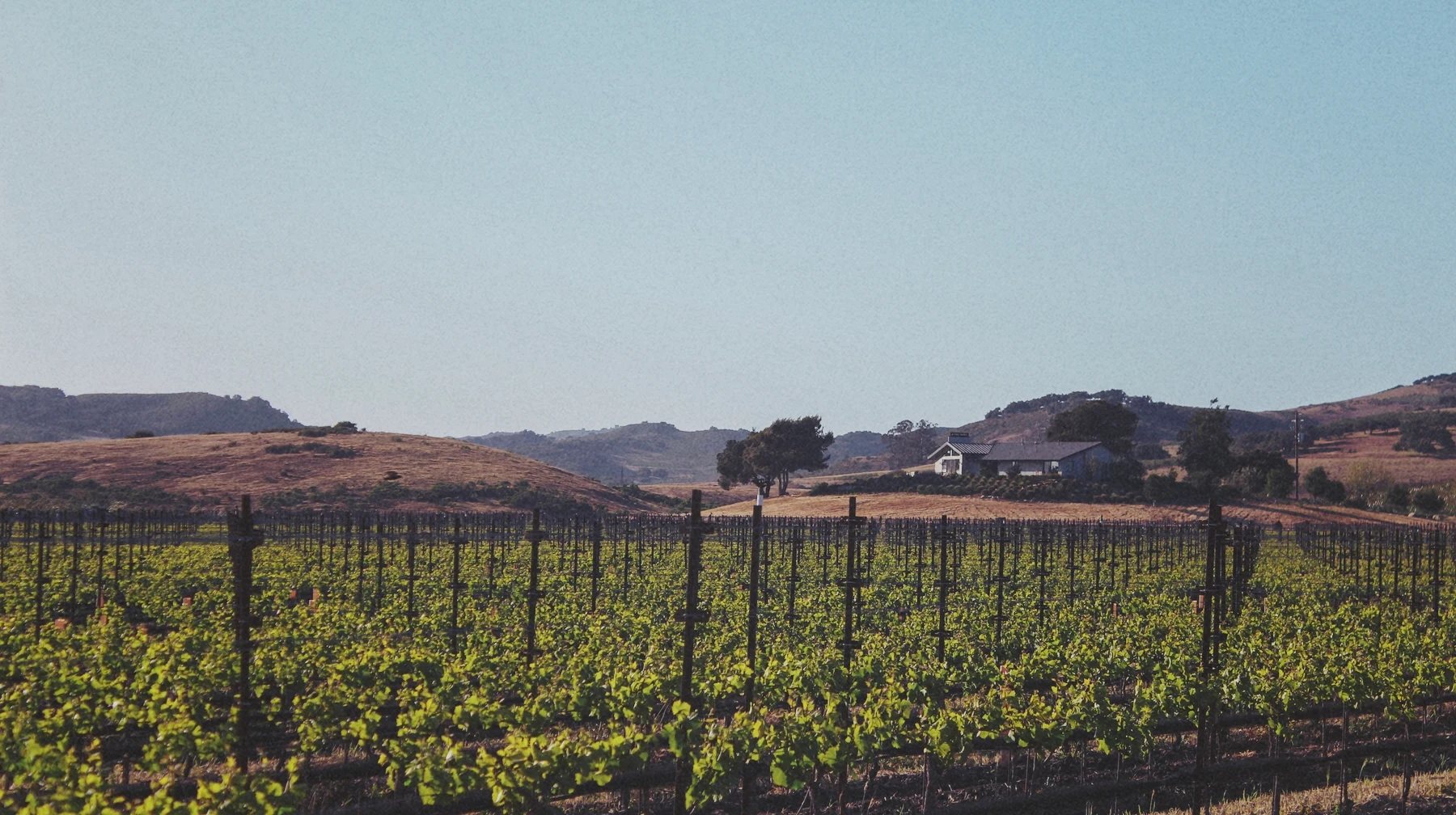Tyler Winery